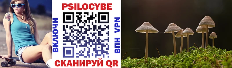 Галлюциногенные грибы MAGIC MUSHROOMS  Купить  Кадников 